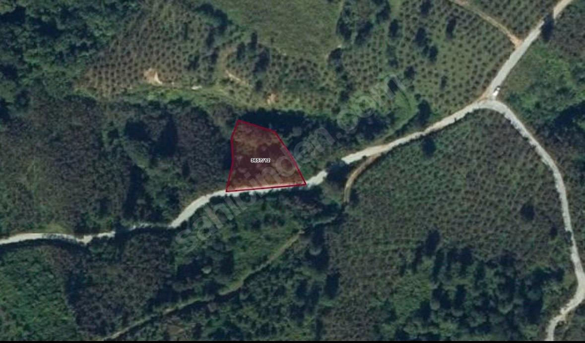 ORDU\ALTINORDU IŞIKLI MAHALLESİ SATILIK BAHÇE